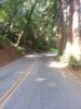 Alpine Ride Part II