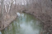 In my own backyard