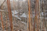 In my own backyard