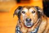 New Lens - Nifty Fifty