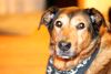 New Lens - Nifty Fifty