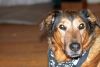 New Lens - Nifty Fifty